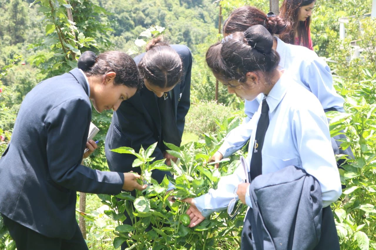 B.Sc Agriculture at PGI Pithoragarh