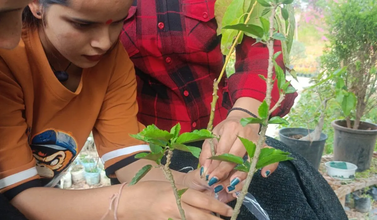 Plant propagation techniques practical